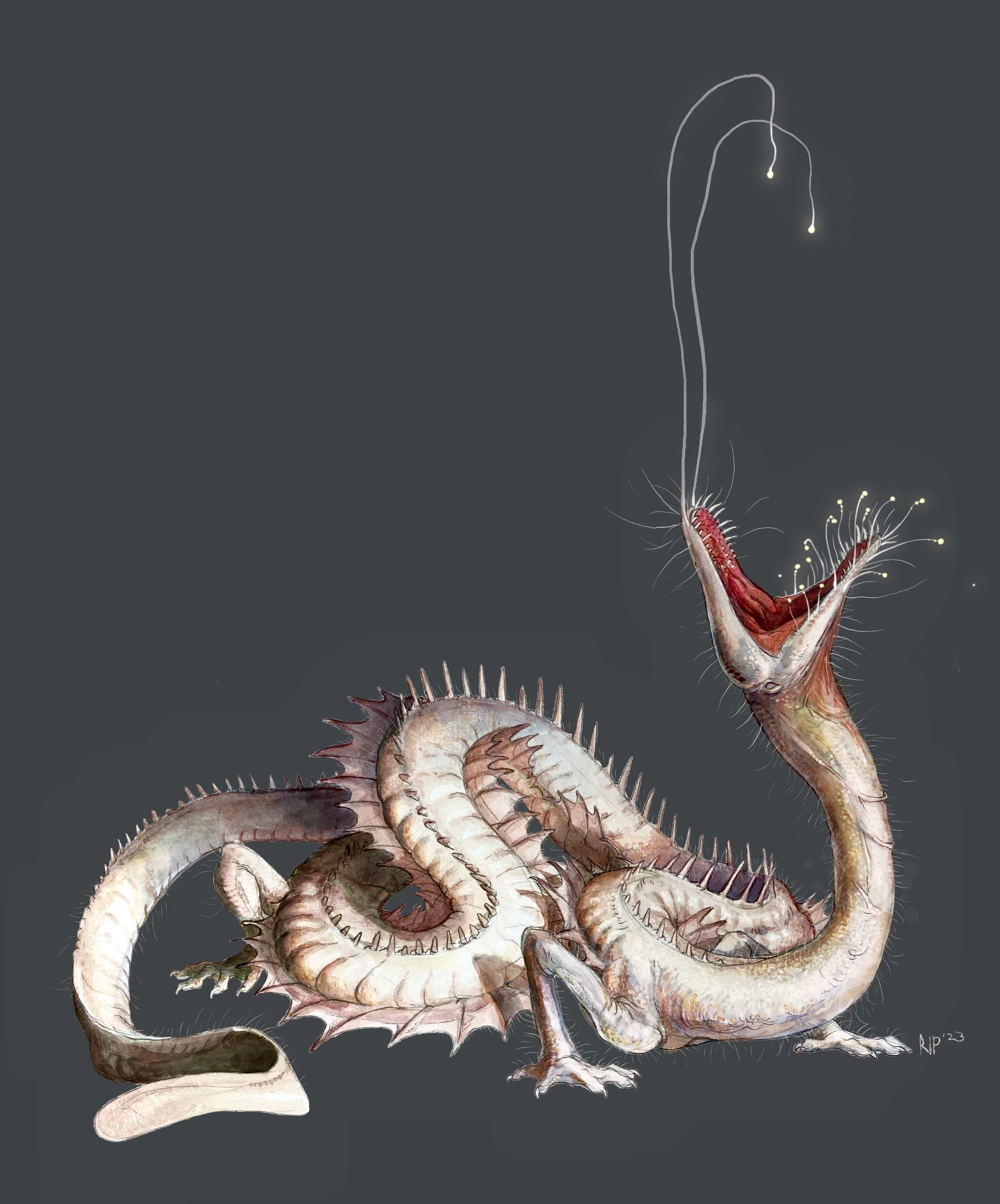 cave dragon