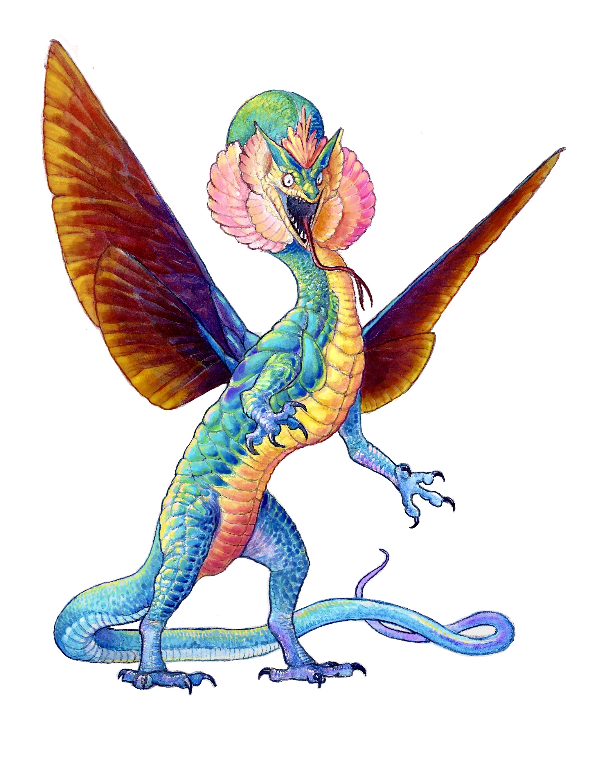 fae dragon