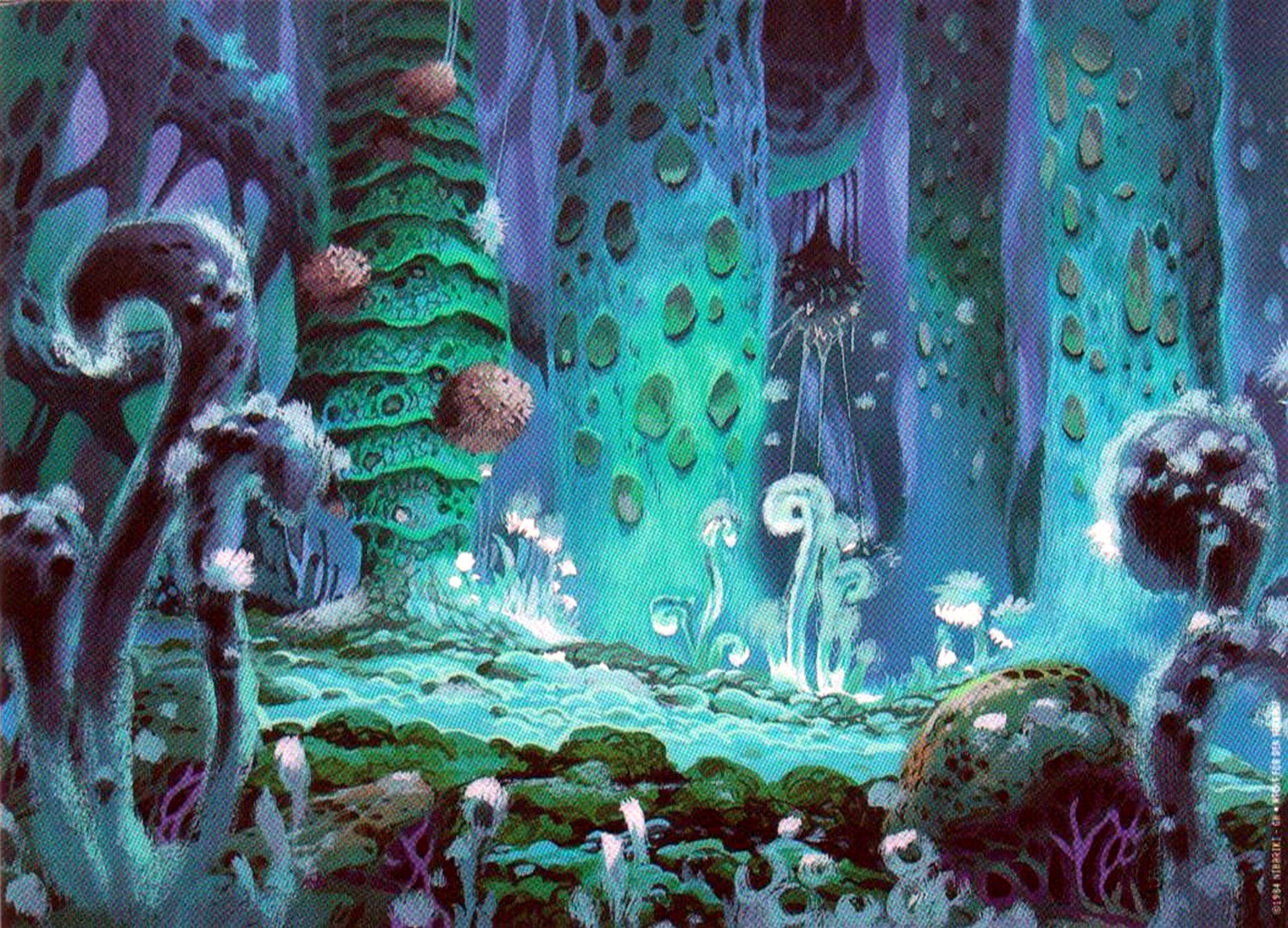 jungle